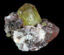 Lustrous Apatite Crystal In Matrix - Durango, Mexico #33849-3
